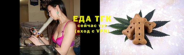 стаф Новокубанск