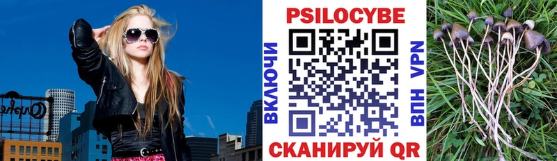 Галлюциногенные грибы Psilocybine cubensis  Унеча 