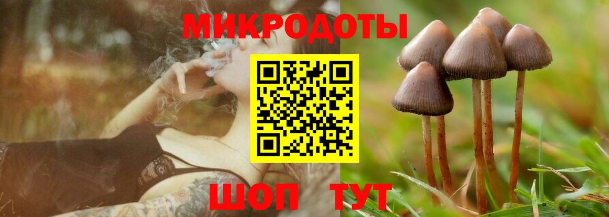 Псилоцибиновые грибы GOLDEN TEACHER  Галлюциногенные грибы ЛСД  Вход с VPN  наркота  Унеча 